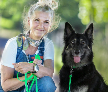 Screenshot 2025 07 30 113849